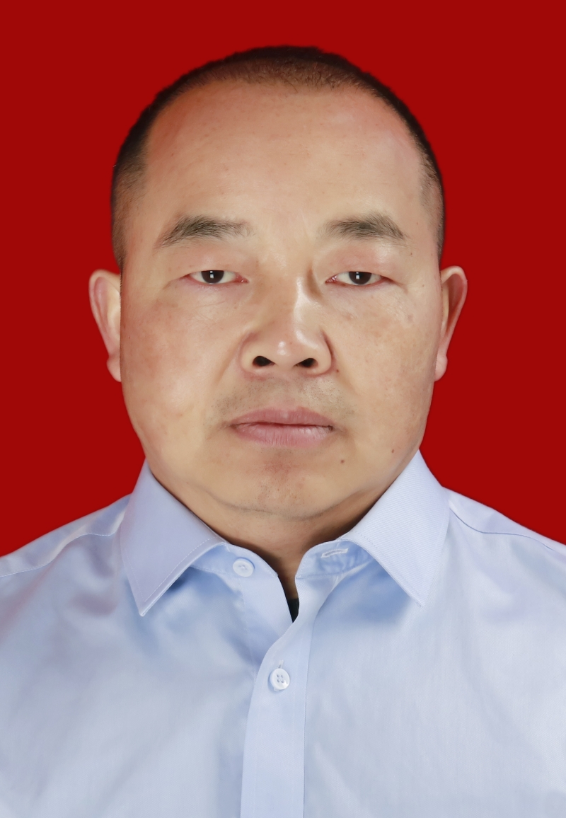 图片1